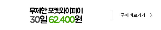 30일 대여